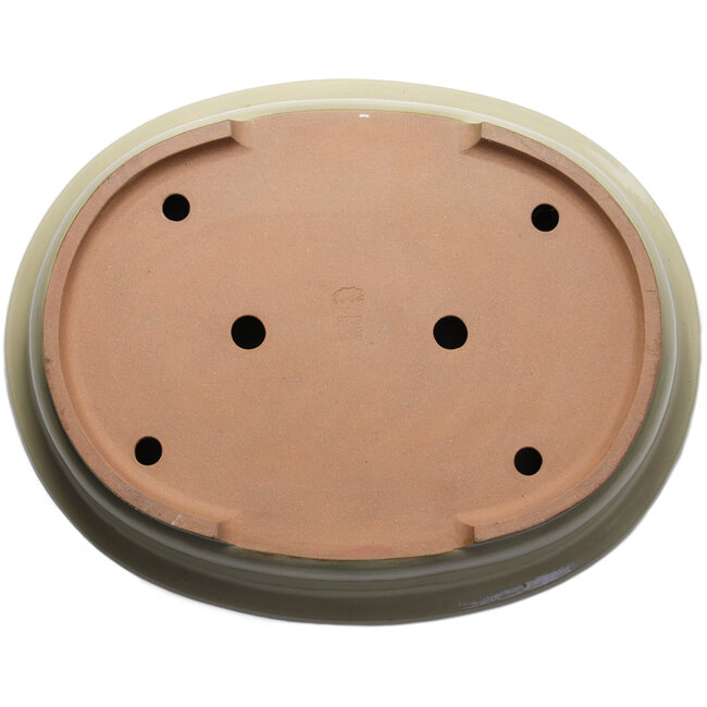 Maceta ovalada beige para bonsái de Kakuzan - 716 x 575 x 170 mm