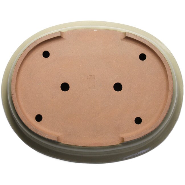 Oval beige bonsai pot by Kakuzan - 716 x 575 x 170 mm