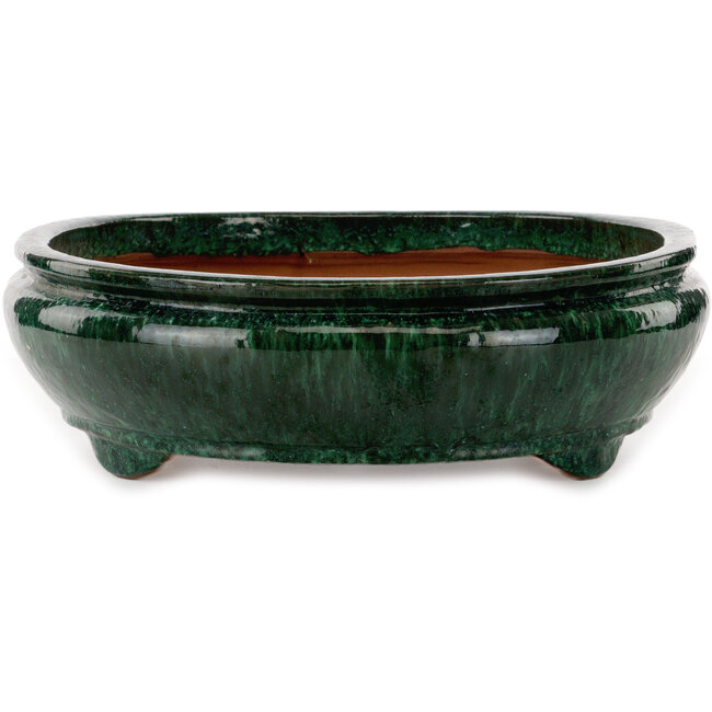 Maceta ovalada verde para bonsái de Shuhou - 520 x 420 x 130 mm