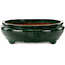 Vaso bonsai ovale verde di Shuhou - 520 x 420 x 130 mm