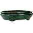 Oval green bonsai pot by Shuhou - 520 x 420 x 130 mm