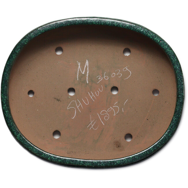 Maceta ovalada verde para bonsái de Shuhou - 520 x 420 x 130 mm