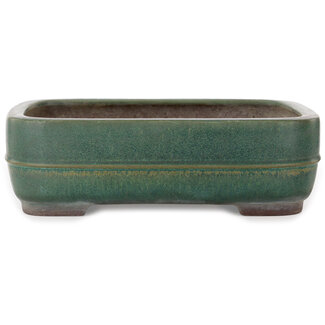  Yamaaki Vaso bonsai verde rettangolare da 380 mm di Yamaaki Toshio (terza generazione), Tokoname, Giappone