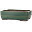 Rechthoekige groene bonsaipot van Yamaaki Toshio (derde generatie) - 380 x 309 x 114 mm