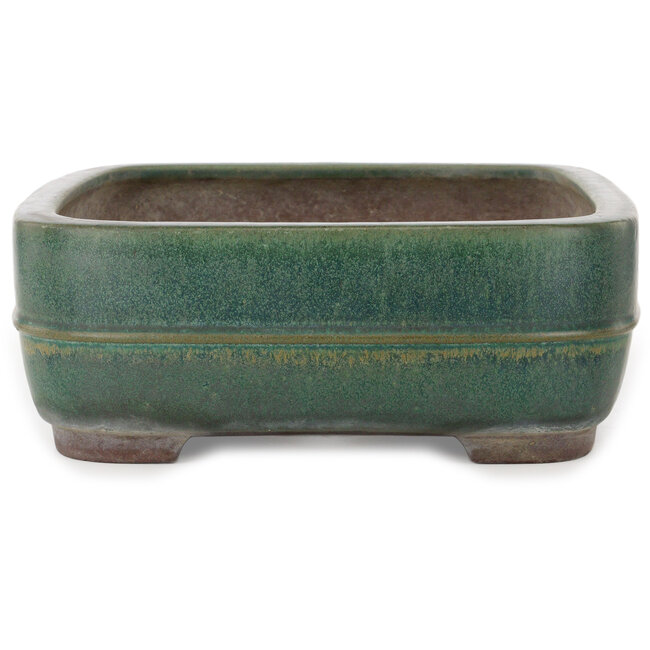 Vaso bonsai rettangolare verde di Yamaaki Toshio (terza generazione) - 380 x 309 x 114 mm