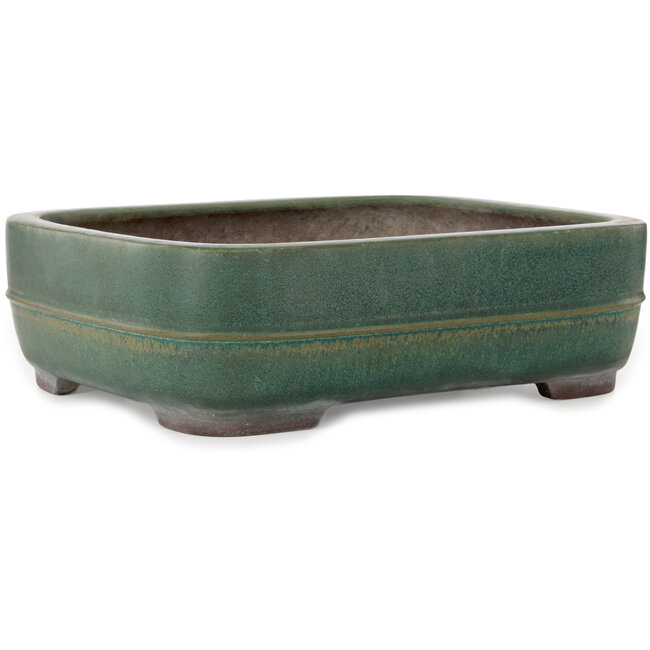 Pot à bonsaï vert rectangulaire de Yamaaki Toshio (troisième génération) - 380 x 309 x 114 mm