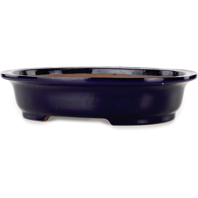Vaso bonsai ovale blu scuro di Seizan (Reihou, Kataoka Katsushi, forno del maestro Seizan) - 410 x 325 x 95 mm