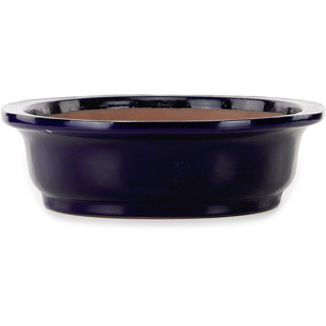 Oval dark blue bonsai pot by Seizan (Reihou, Kataoka Katsushi, master Seizan kiln) - 410 x 325 x 95 mm
