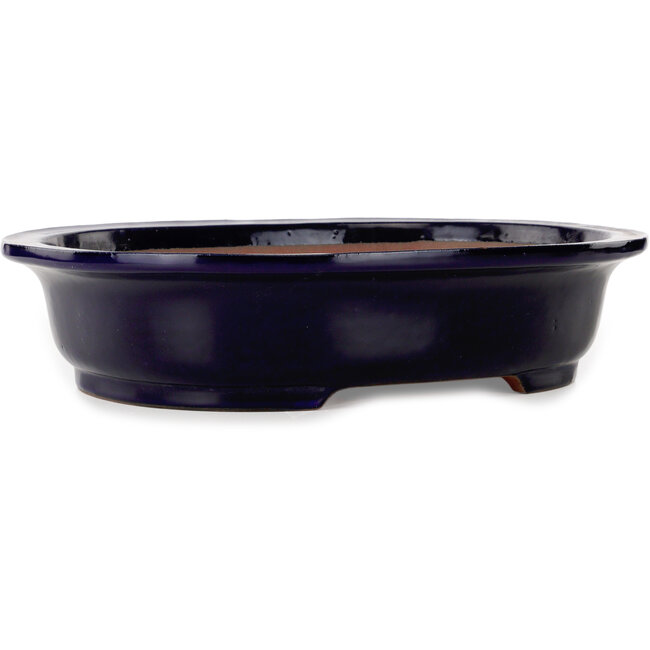 Maceta ovalada para bonsái azul oscuro de Seizan (Reihou, Kataoka Katsushi, maestro del horno Seizan) - 410 x 325 x 95 mm