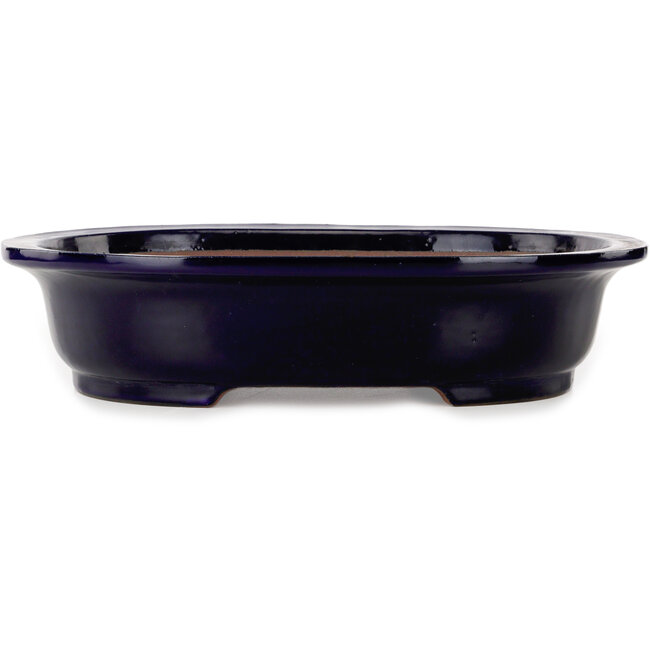 Oval dark blue bonsai pot by Seizan (Reihou, Kataoka Katsushi, master Seizan kiln) - 410 x 325 x 95 mm