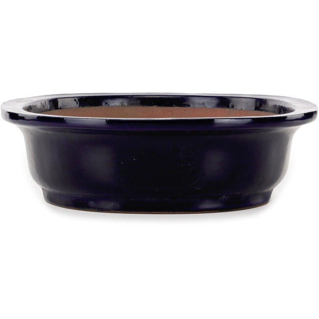 Ovaler dunkelblauer Bonsaitopf von Seizan (Reihou, Kataoka Katsushi, Meister Seizan-Ofen) – 410 x 325 x 95 mm