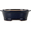 Vaso bonsai ovale blu scuro di Seizan (Reihou, Kataoka Katsushi, forno del maestro Seizan) - 476 x 404 x 150 mm