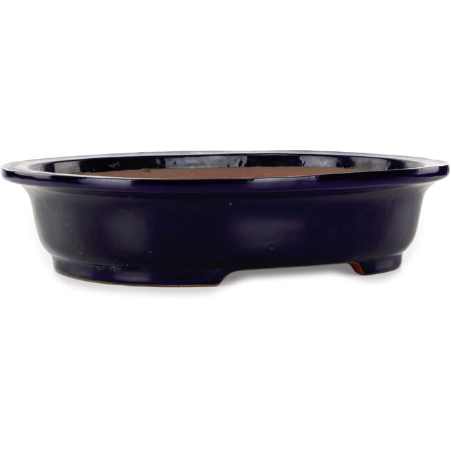Oval dark blue bonsai pot by Seizan (Reihou, Kataoka Katsushi, master Seizan kiln) - 410 x 325 x 95 mm