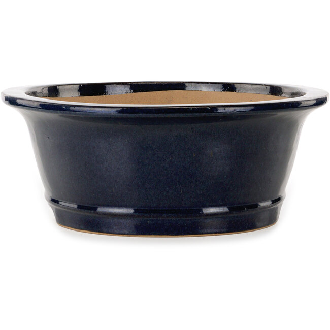 Vaso bonsai ovale blu scuro di Seizan (Reihou, Kataoka Katsushi, forno del maestro Seizan) - 476 x 404 x 150 mm