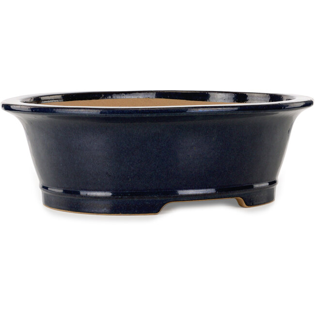 Vaso bonsai ovale blu scuro di Seizan (Reihou, Kataoka Katsushi, forno del maestro Seizan) - 476 x 404 x 150 mm