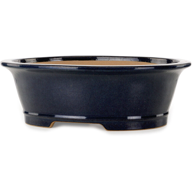 Vaso bonsai ovale blu scuro di Seizan (Reihou, Kataoka Katsushi, forno del maestro Seizan) - 476 x 404 x 150 mm