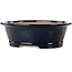 Vaso bonsai ovale blu scuro di Seizan (Reihou, Kataoka Katsushi, forno del maestro Seizan) - 476 x 404 x 150 mm
