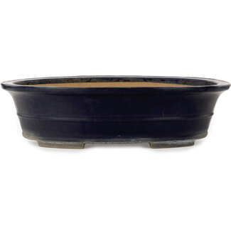 Seizan (Reihou, Kataoka Katsushi, master Seizan kiln) 557 mm ovale donkerblauwe bonsaipot van Seizan (Reihou, Kataoka Katsushi, meester Seizan oven), Tokoname, Japan