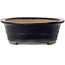 Ovaler dunkelblauer Bonsaitopf von Seizan (Reihou, Kataoka Katsushi, Meister Seizan-Ofen) – 557 x 432 x 155 mm