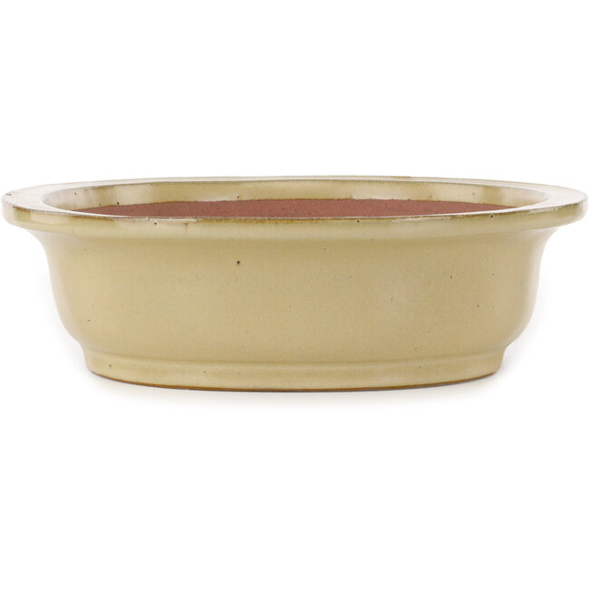 Oval off-white bonsai pot by Seizan (Reihou, Kataoka Katsushi, master Seizan kiln) - 405 x 325 x 90 mm