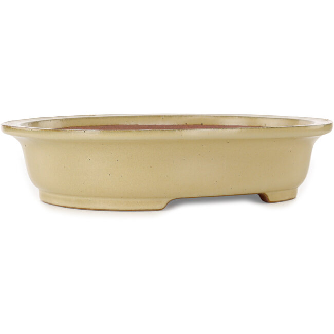Oval off-white bonsai pot by Seizan (Reihou, Kataoka Katsushi, master Seizan kiln) - 405 x 325 x 90 mm