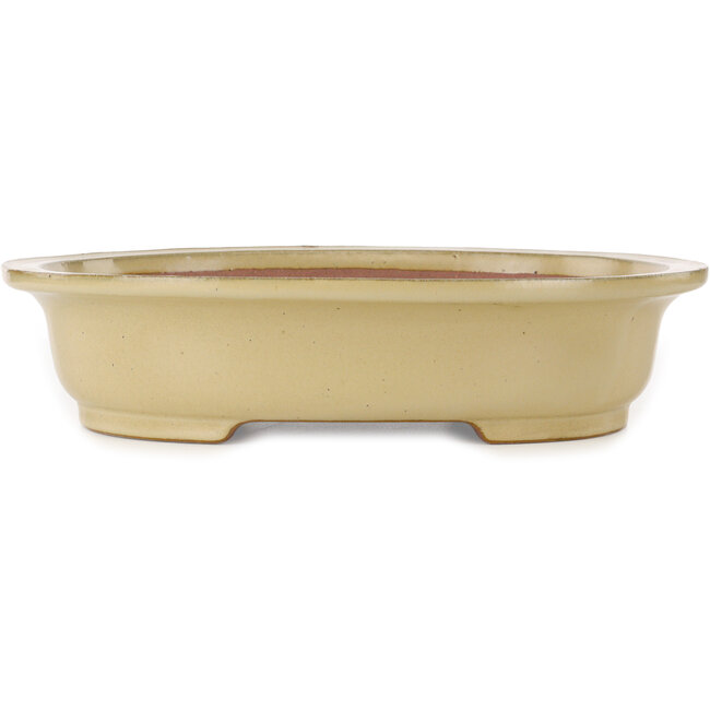 Pot à bonsaï ovale blanc cassé par Seizan (Reihou, Kataoka Katsushi, maître four Seizan) - 405 x 325 x 90 mm