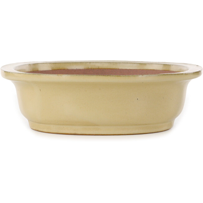 Pot à bonsaï ovale blanc cassé par Seizan (Reihou, Kataoka Katsushi, maître four Seizan) - 405 x 325 x 90 mm