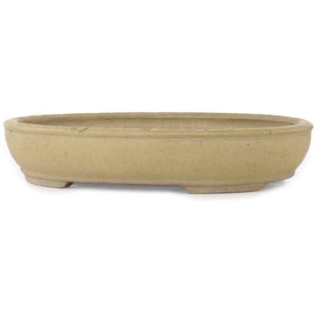 Maceta ovalada para bonsái de color blanco roto de Shuhou - 500 x 413 x 88 mm