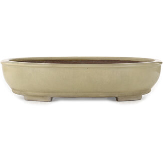  Kakuzan Vaso bonsai ovale bianco sporco da 490 mm di Kakuzan, Tokoname, Giappone