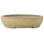 Ovaler, cremefarbener Bonsai-Topf von Shuhou – 500 x 413 x 88 mm