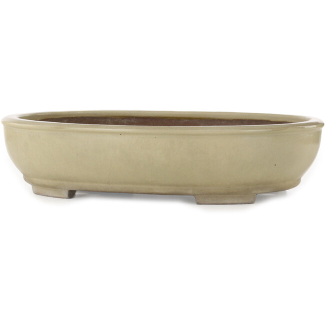 Pot à bonsaï ovale blanc cassé de Kakuzan - 490 x 372 x 105 mm