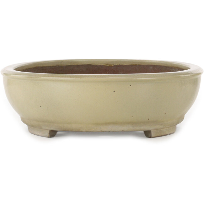 Maceta ovalada para bonsái de color blanco roto de Kakuzan - 490 x 372 x 105 mm