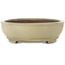 Oval off-white bonsai pot by Kakuzan - 490 x 372 x 105 mm