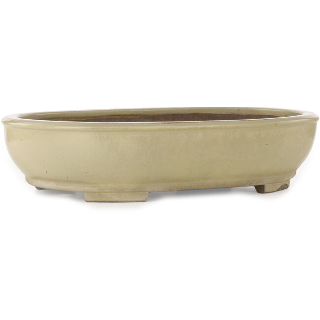 Maceta ovalada para bonsái de color blanco roto de Kakuzan - 490 x 372 x 105 mm