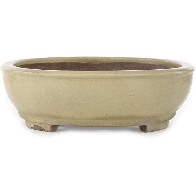 Pot à bonsaï ovale blanc cassé de Kakuzan - 490 x 372 x 105 mm