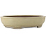 Oval off-white bonsai pot by Kakuzan - 490 x 372 x 105 mm