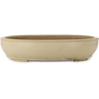 Seizan (Reihou, Kataoka Katsushi, master Seizan kiln) Pot à bonsaï ovale blanc cassé de 565 mm par Seizan (Reihou, Kataoka Katsushi, maître four Seizan), Tokoname, Japon