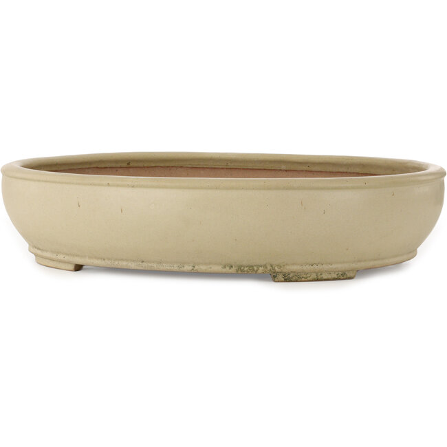 Vaso bonsai ovale bianco sporco di Seizan (Reihou, Kataoka Katsushi, forno del maestro Seizan) - 565 x 458 x 120 mm