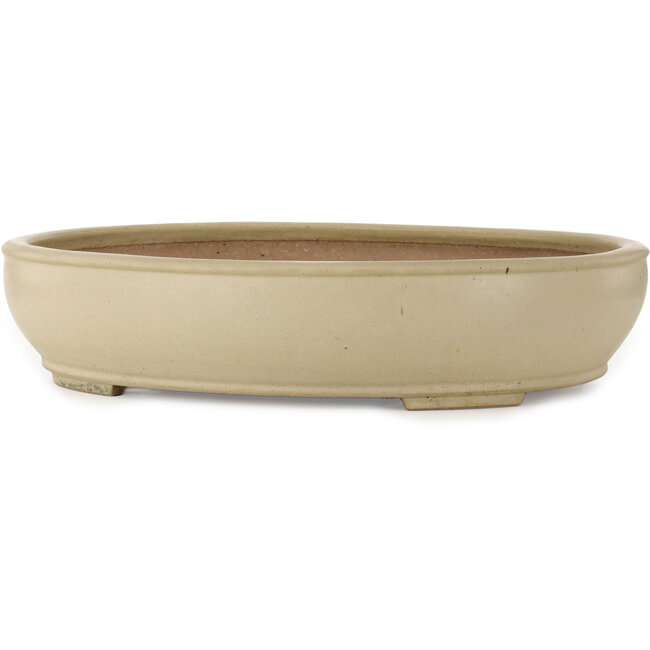 Oval off-white bonsai pot by Seizan (Reihou, Kataoka Katsushi, master Seizan kiln) - 565 x 458 x 120 mm