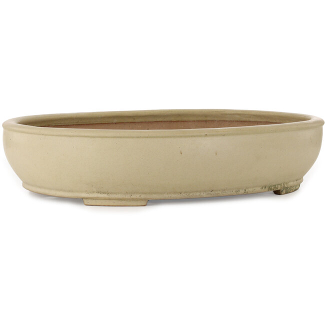 Vaso bonsai ovale bianco sporco di Seizan (Reihou, Kataoka Katsushi, forno del maestro Seizan) - 565 x 458 x 120 mm