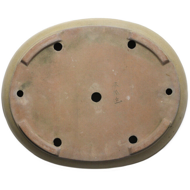 Oval off-white bonsai pot by Shuhou - 500 x 413 x 88 mm