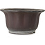 Lotus bonsai pot zonder glazuur van Yamaaki Toshio (derde generatie) - 410 x 410 x 215 mm