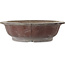 Lotus bonsai pot zonder glazuur van Yamaaki Toshio (derde generatie) - 523 x 523 x 144 mm