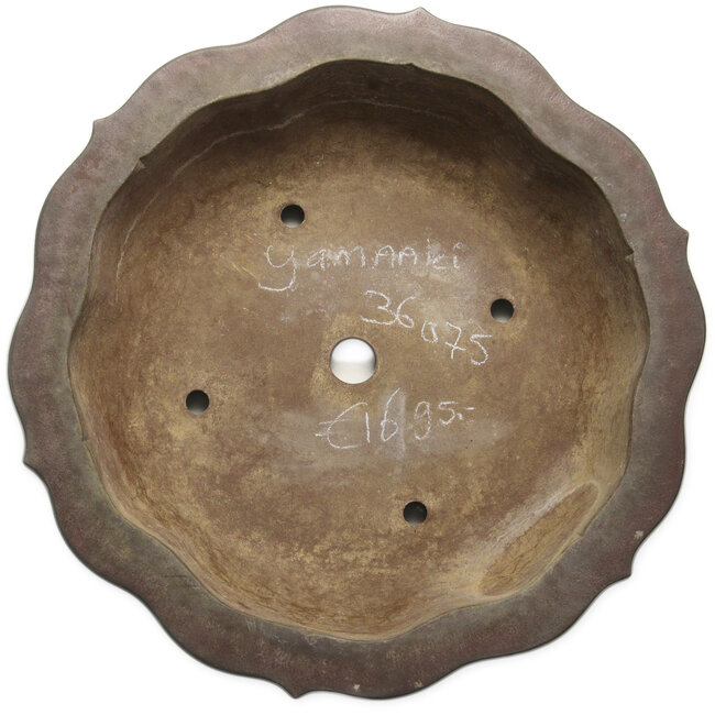 Lotus bonsai pot zonder glazuur van Yamaaki Toshio (derde generatie) - 523 x 523 x 144 mm