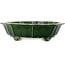 Lotus green bonsai pot by Terahata Satomi Mazan - 435 x 435 x 113 mm