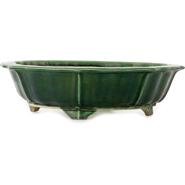 Lotusgrüner Craquelé-Bonsaitopf von Terahata Satomi Mazan – 435 x 435 x 113 mm