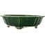 Lotus green craquelé bonsai pot by Terahata Satomi Mazan - 435 x 435 x 113 mm