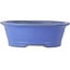 Oval blue bonsai pot by Seizan (Reihou, Kataoka Katsushi, master Seizan kiln) - 474 x 403 x 154 mm