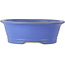 Vaso bonsai ovale blu di Seizan (Reihou, Kataoka Katsushi, forno del maestro Seizan) - 474 x 403 x 154 mm