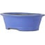 Oval blue bonsai pot by Seizan (Reihou, Kataoka Katsushi, master Seizan kiln) - 474 x 403 x 154 mm